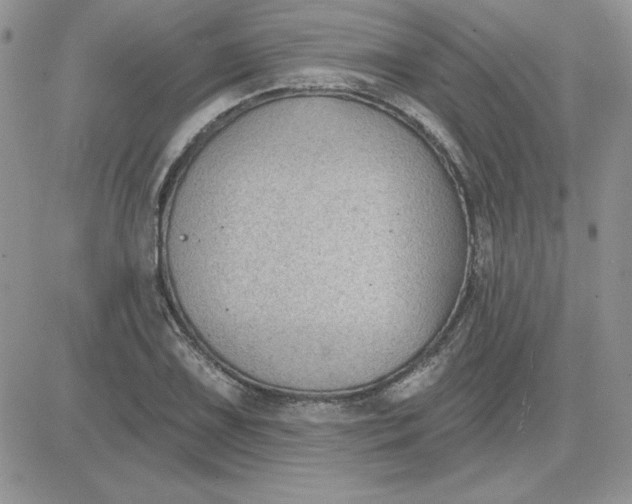 X0000081561075200701291144