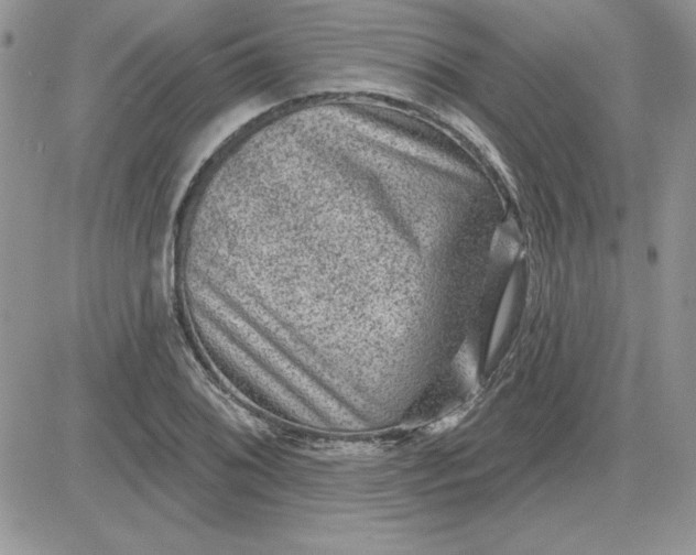 X0000081561076200701291144