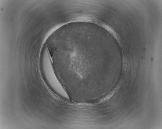 X0000081561077200701291144