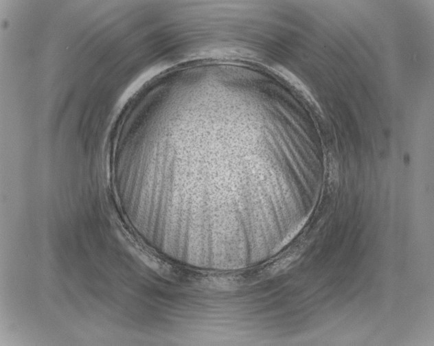 X0000081561078200701291144