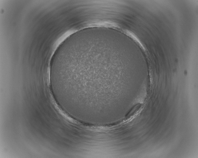 X0000081561079200701291144