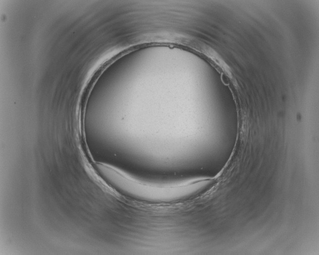 X0000081561080200701291144