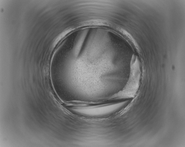 X0000081561081200701291144