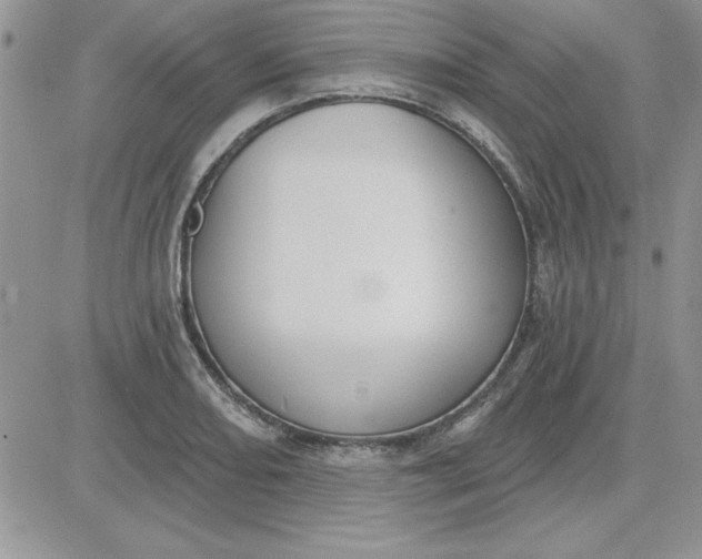 X0000081561082200701291144