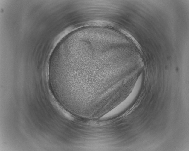 X0000081561083200701291144