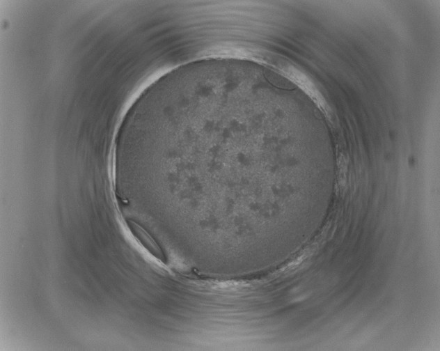 X0000081561084200701291143