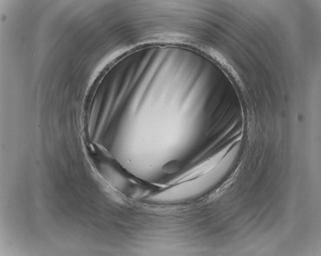 X0000081561085200701291143