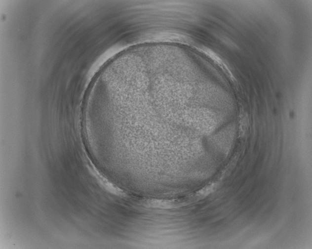 X0000081561086200701291143