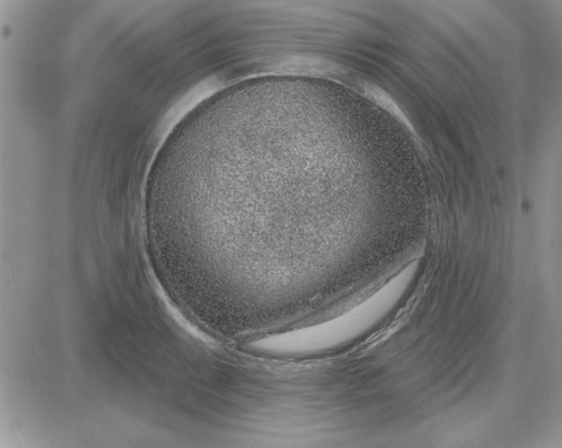 X0000081561087200701291143