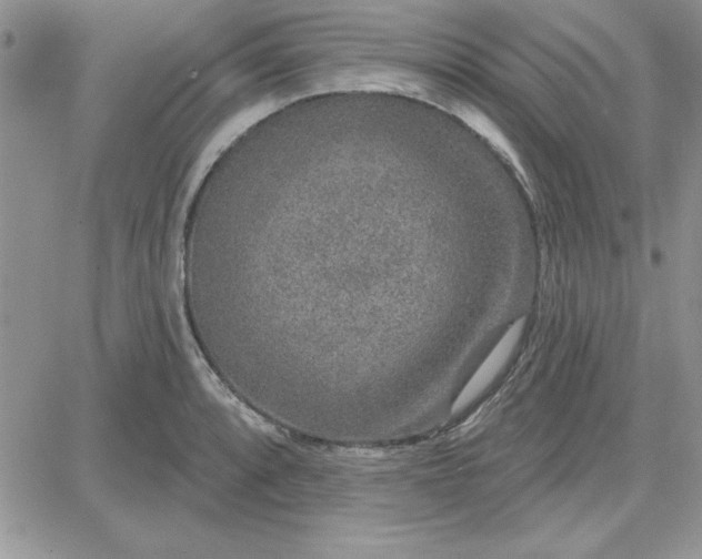 X0000081561088200701291143