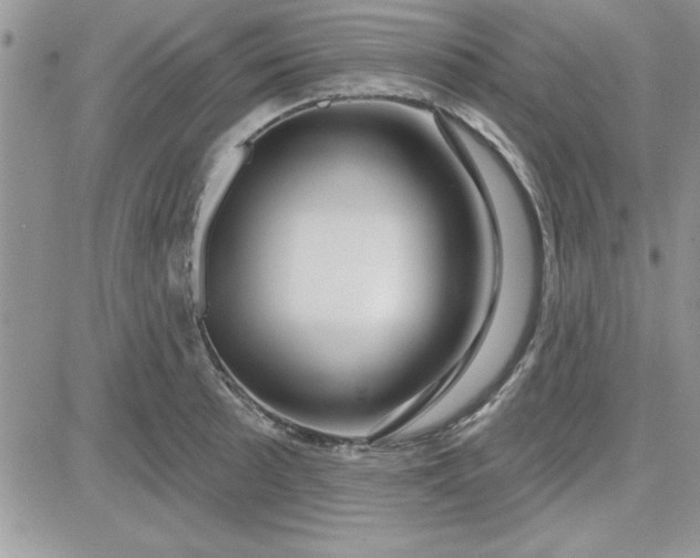 X0000081561089200701291143