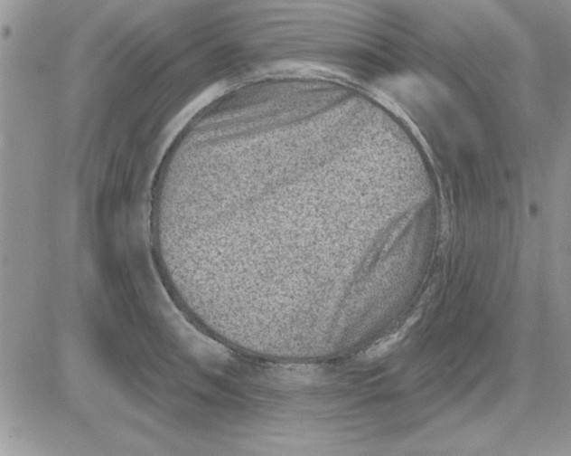 X0000081561090200701291143