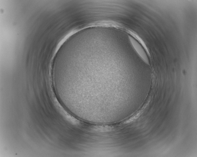 X0000081561091200701291143