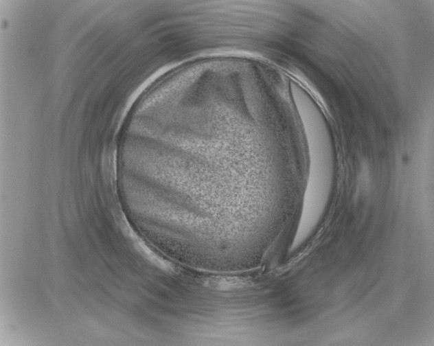 X0000081561092200701291143