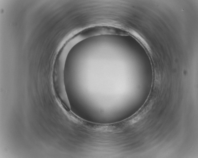 X0000081561093200701291143