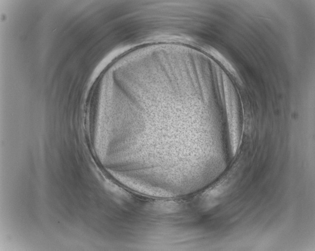 X0000081561094200701291143