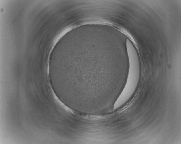 X0000081561095200701291143