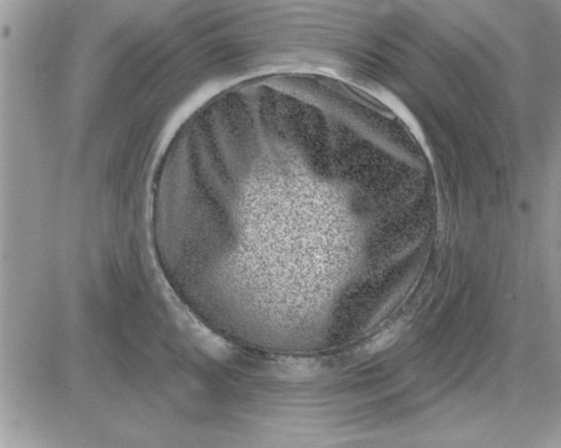 X0000081561096200701291143