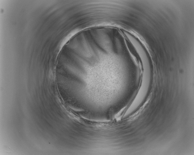 X0000081561097200701291143