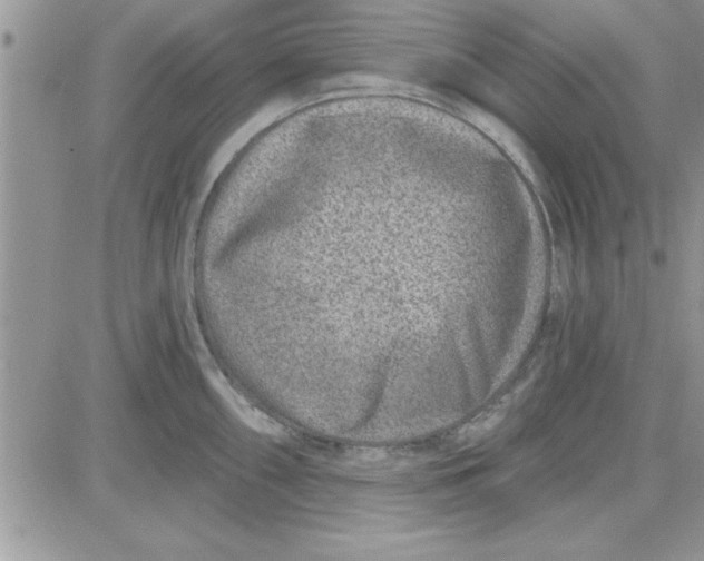 X0000081561098200701291143