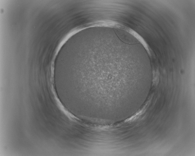 X0000081561099200701291143