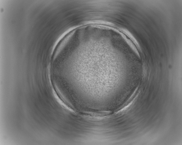 X0000081561100200701291143