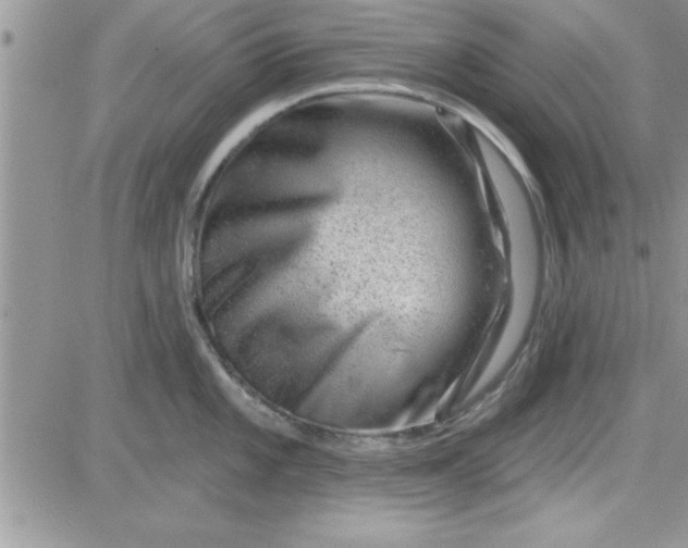 X0000081561101200701291143