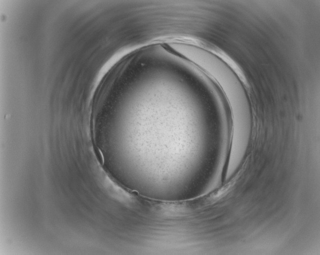 X0000081561102200701291143