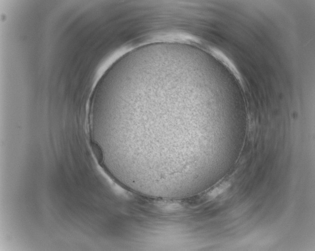 X0000081561103200701291143