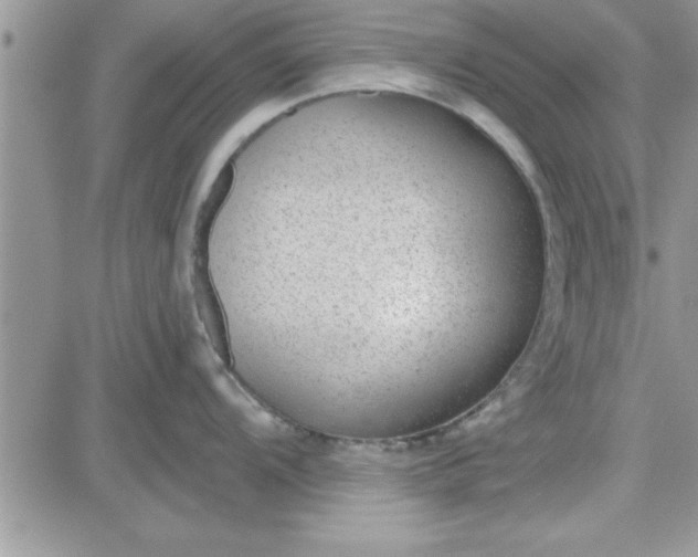 X0000081561104200701291143