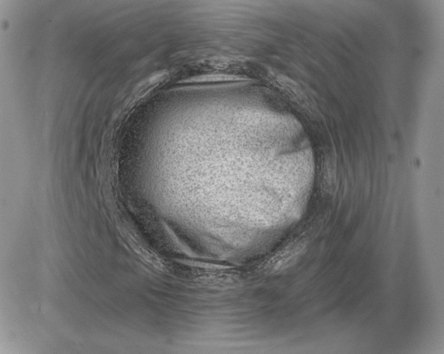 X0000081561105200701291142