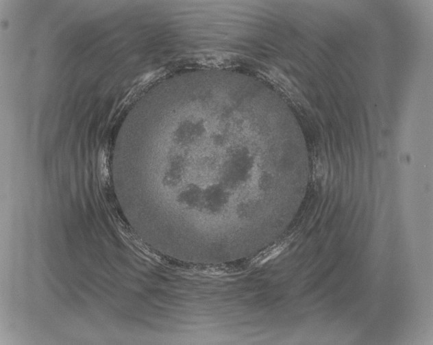 X0000081561106200701291142