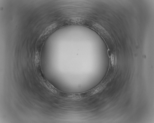 X0000081561107200701291142