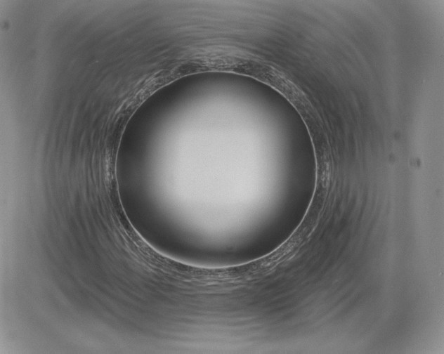 X0000081561108200701291142