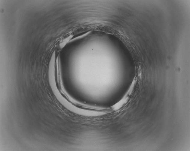 X0000081561109200701291142