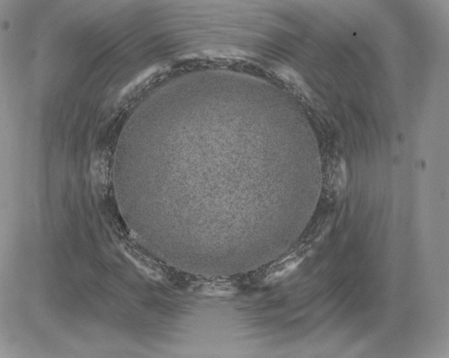 X0000081561110200701291142