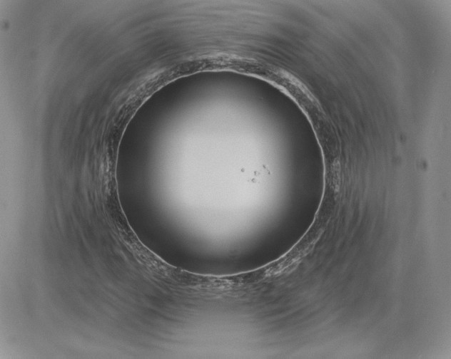 X0000081561111200701291142