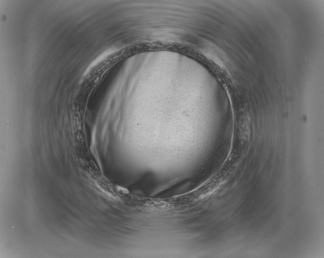 X0000081561112200701291142