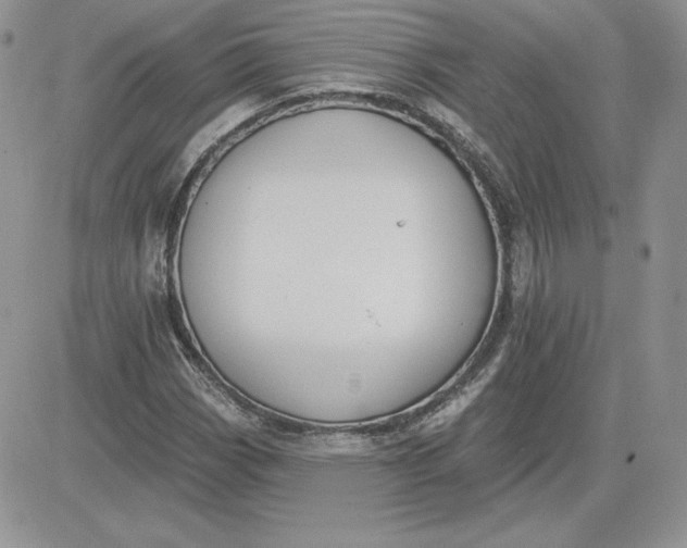 X0000081561113200701291143