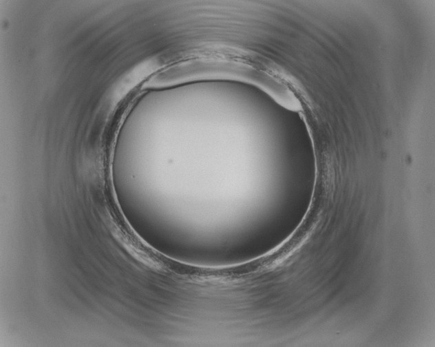 X0000081561114200701291143