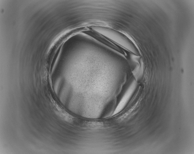 X0000081561115200701291143