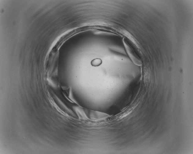 X0000081561116200701291143