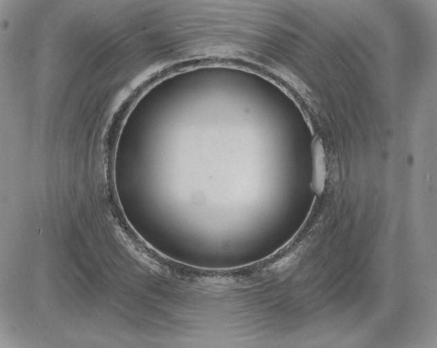 X0000081561118200701291143