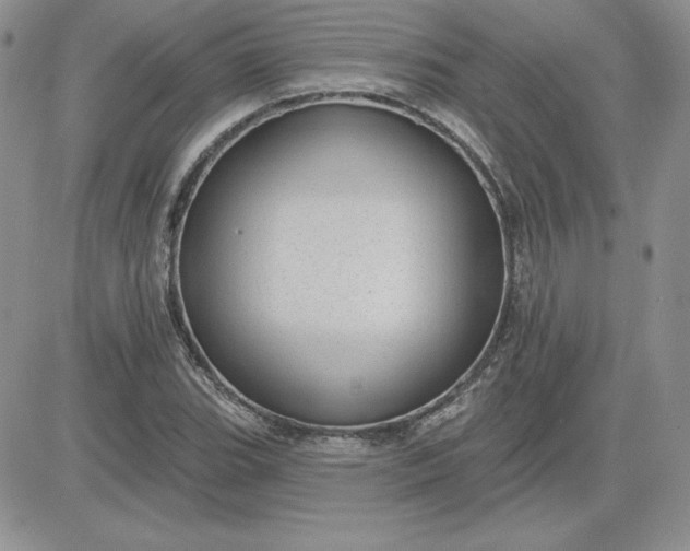 X0000081561119200701291143