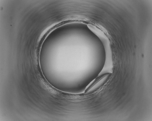 X0000081561120200701291143