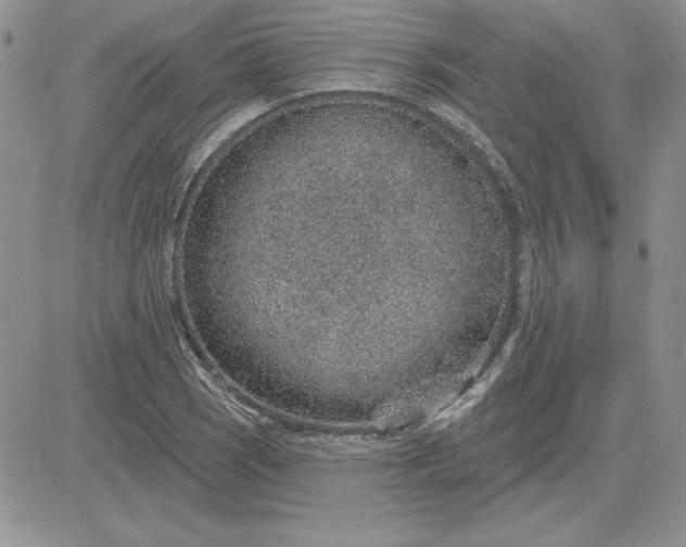 X0000081561121200701291143