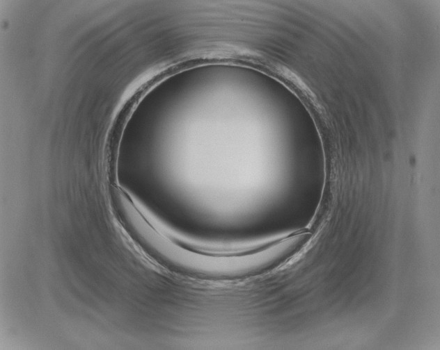 X0000081561122200701291143