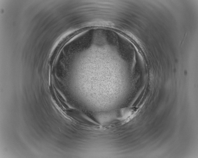 X0000081561123200701291143