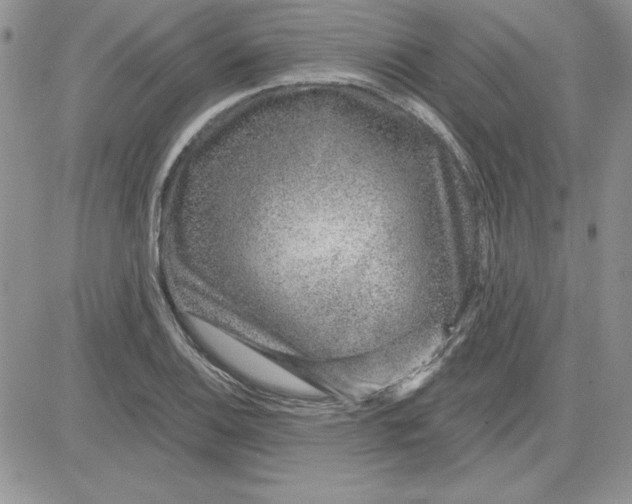 X0000081561124200701291143