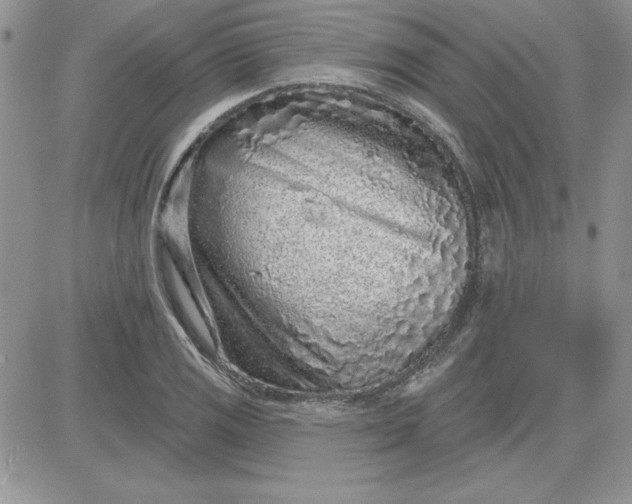 X0000081561125200701291143